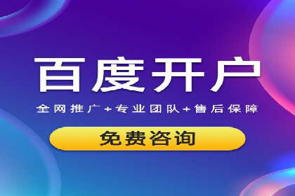 百度推广实战攻略：案例与策略